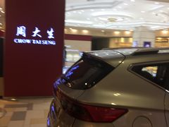 -鹏欣水游城