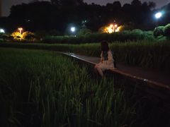 -龙头寺公园