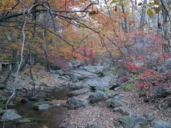 android_upload_pic-丹东天桥沟景区