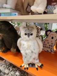 -IMON·HANSA潮玩玩偶毛绒玩具(通州万象汇店)