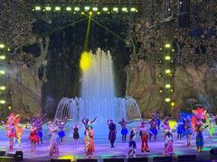 -灵玲国际马戏城