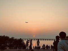 -宝安西湾红树林湿地公园