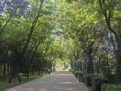 -森林公园(尖草坪区)
