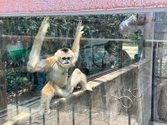 -昆明动物园