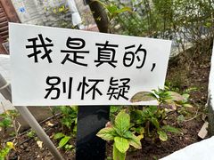 -三溪村