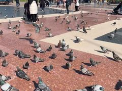 -加泰罗尼亚广场