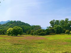 -福建鲤鱼洲酒店