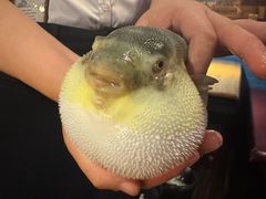 -永安鱼庄·镇江菜(丁卯店)