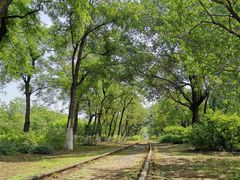 -永定河休闲森林公园