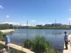 -永定河休闲森林公园