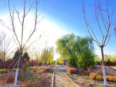 -永定河休闲森林公园