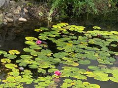 -张家港凤凰山景区河阳山歌馆