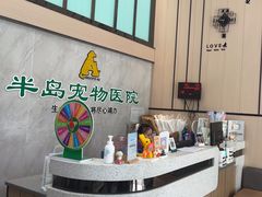 -半岛宠物医院24小时(科华中路店)
