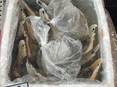 -双生不夜粥