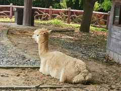 -昆山城市生态森林公园