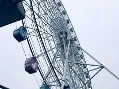 -洋湖国家湿地公园