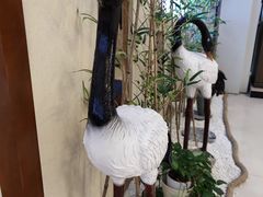 -红星美凯龙全球家居生活广场卡子门店-停车场