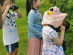 -天悦阁海景酒廊