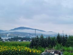 -塞罕坝国家级自然保护区