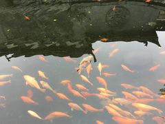 -清漾毛氏文化村