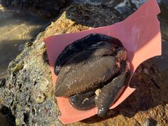 -玫瑰海岸文化旅游度假区