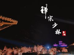 -禅宗少林·音乐大典