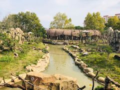 -上海野生动物园