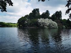 -上海共青森林公园