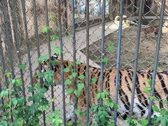 -上方山森林动物世界