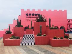 -漳州滨海火山岛自然生态风景区