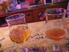 -ZING鲸鱼啤酒(葡萄院店)