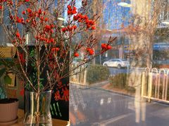 -2326 Coffee Roaster咖啡豆可选店(林肯公园店)