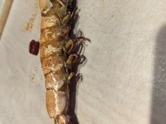 -渔港甄宴·海鲜·地标烟台菜(金沙滩店)