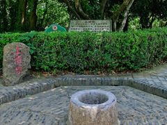 -上海佘山国家森林公园天马山园