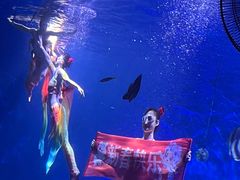-海合安武汉极地海洋公园