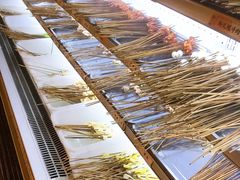 -镇江龙·火锅串串(武侯祠店)