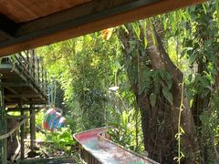 -海南槟榔谷黎苗文化旅游区