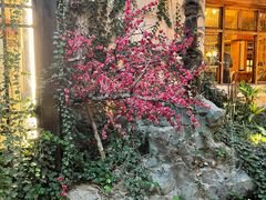 -世外桃源农庄·德清土菜(兴康南路店)