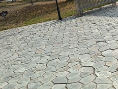 -黑瞎子岛探秘野熊园