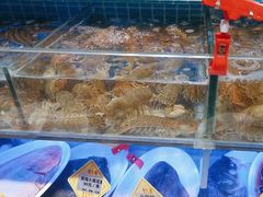 -倍儿美海鲜大排挡·非遗海鲜蒸饺(洋货店)