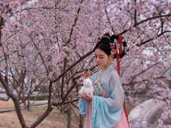 -天津东丽湖风景区