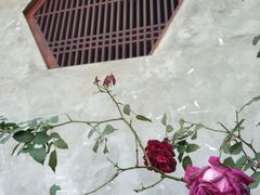 -乌山风景区