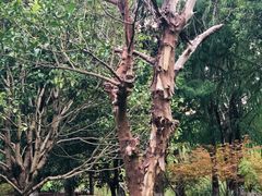 -漕河泾科技绿洲-地面停车场