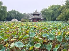 -莲池书院博物馆