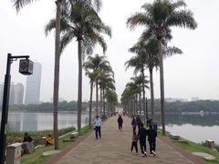 -南宁南湖公园