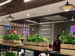 大堂-八合里潮汕鲜牛肉火锅(深圳海岸城店)