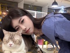 -平行世界·猫咖(首经贸店)
