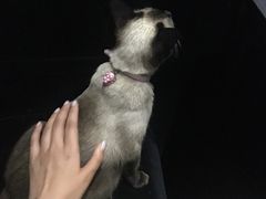 -吱咖啡西式简餐
