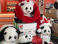 -熊猫邮局(少城店)