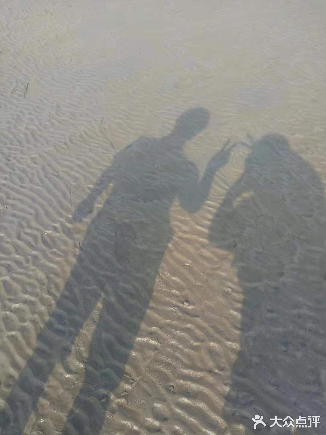 来到长江边溜达，正好赶上退潮，能走到下面的沙滩上